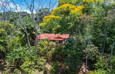 Finca Aracari – Your Natural Zen Awaits