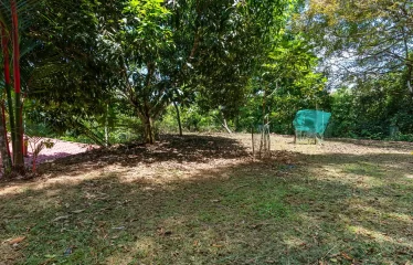 Finca Aracari – Your Natural Zen Awaits