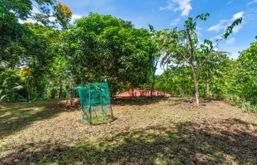 Finca Aracari – Your Natural Zen Awaits