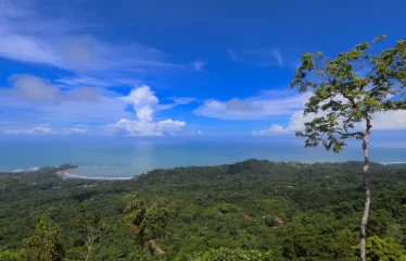 Huge 360 Degree Ocean View Property