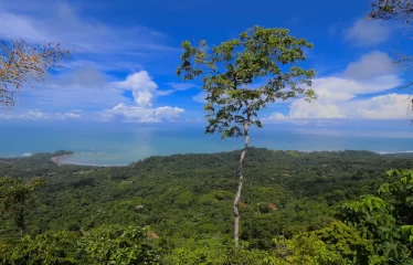 Huge 360 Degree Ocean View Property