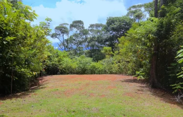 Huge 360 Degree Ocean View Property