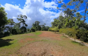 Huge 360 Degree Ocean View Property