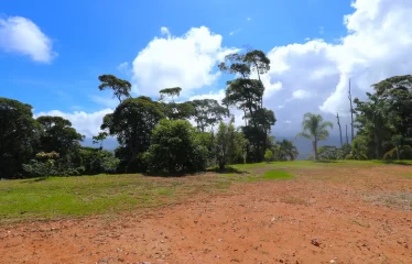 Huge 360 Degree Ocean View Property