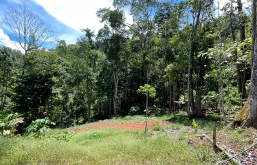 Incredible Ocean View Property In Gated Community Minutes From The Beach