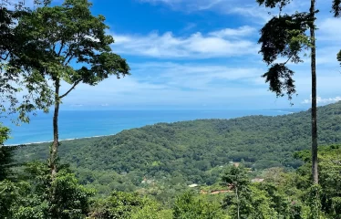 Incredible Ocean View Property In Gated Community Minutes From The Beach