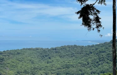 Incredible Ocean View Property In Gated Community Minutes From The Beach