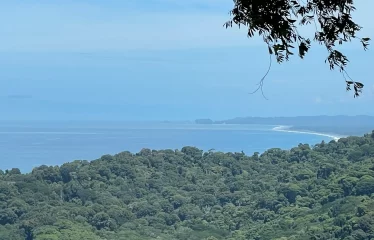 Incredible Ocean View Property In Gated Community Minutes From The Beach