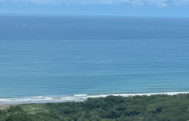 Incredible Ocean View Property In Gated Community Minutes From The Beach