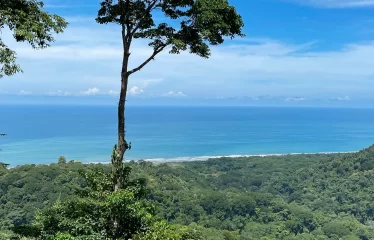 Incredible Ocean View Property In Gated Community Minutes From The Beach