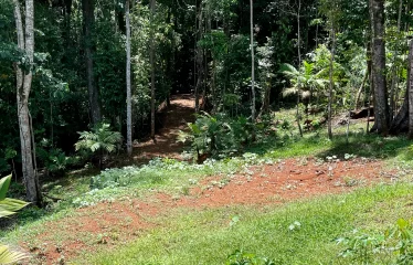 Incredible Ocean View Property In Gated Community Minutes From The Beach