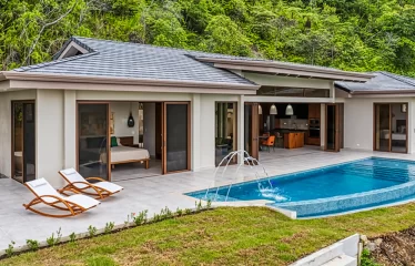 Brand New, Ocean View, Luxury Home - Ojochal.