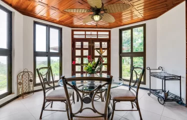 Ojochal Ocean View Estate Home with Guest Bungalow, Caretaker Home, Fruit Trees, and Waterfall