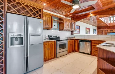 Ojochal Ocean View Estate Home with Guest Bungalow, Caretaker Home, Fruit Trees, and Waterfall