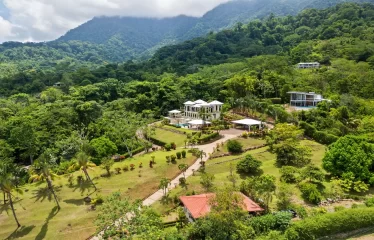 Ojochal Ocean View Estate Home with Guest Bungalow, Caretaker Home, Fruit Trees, and Waterfall