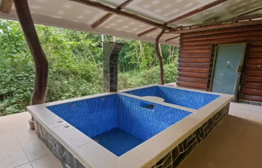 Ojochal Ocean View Estate Home with Guest Bungalow, Caretaker Home, Fruit Trees, and Waterfall