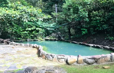 Ojochal Ocean View Estate Home with Guest Bungalow, Caretaker Home, Fruit Trees, and Waterfall