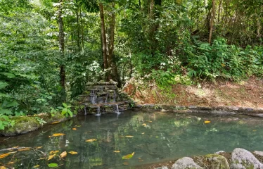 Ojochal Ocean View Estate Home with Guest Bungalow, Caretaker Home, Fruit Trees, and Waterfall
