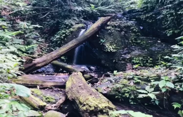 Ojochal Ocean View Estate Home with Guest Bungalow, Caretaker Home, Fruit Trees, and Waterfall