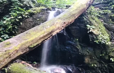 Ojochal Ocean View Estate Home with Guest Bungalow, Caretaker Home, Fruit Trees, and Waterfall