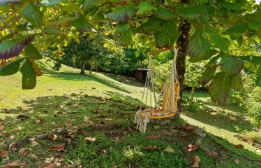 Ojochal Ocean View Estate Home with Guest Bungalow, Caretaker Home, Fruit Trees, and Waterfall