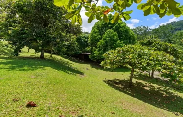 Ojochal Ocean View Estate Home with Guest Bungalow, Caretaker Home, Fruit Trees, and Waterfall