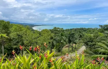 Impeccable Estate and Reserve, Overlooking Playa Hermosa, Uvita