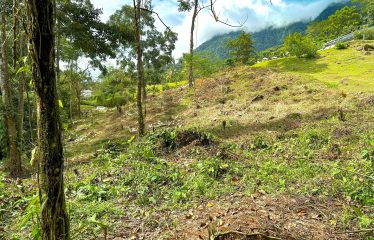 MOUNTAIN VIEW LOT WITH RIVER FRONTAGE – 1.95 ACRES