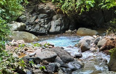 MOUNTAIN VIEW LOT WITH RIVER FRONTAGE – 1.95 ACRES