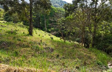 MOUNTAIN VIEW LOT WITH RIVER FRONTAGE – 1.95 ACRES