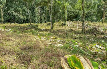 MOUNTAIN VIEW LOT WITH RIVER FRONTAGE – 1.95 ACRES