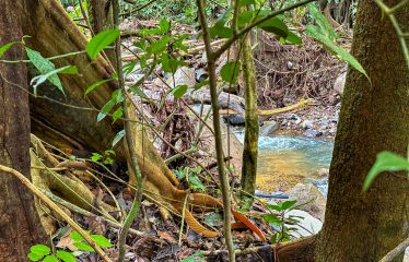 MOUNTAIN VIEW LOT WITH RIVER FRONTAGE – 1.95 ACRES