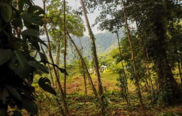 MOUNTAIN VIEW LOT WITH RIVER FRONTAGE – 1.95 ACRES