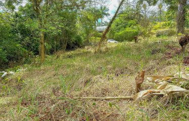 MOUNTAIN VIEW LOT WITH RIVER FRONTAGE – 1.95 ACRES