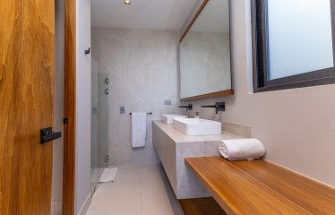 Investment Opportunity in Manuel Antonio, 6 Bedroom Luxury Ocean View Villa