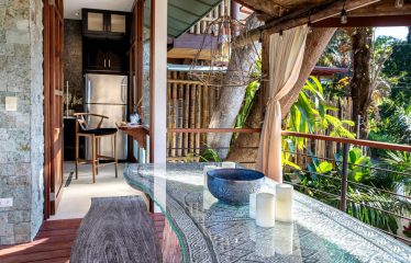 RENTAL INCOME PRODUCER 4 BEDROOM HOUSE IN MANUEL ANTONIO