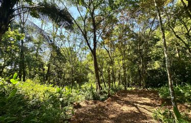 BEAUTIFUL PROPERTY MINUTES TO THE BEACH READY TO BUILD- 2.08 ACRES