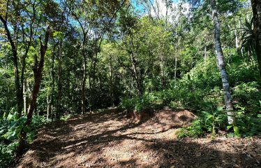 BEAUTIFUL PROPERTY MINUTES TO THE BEACH READY TO BUILD- 2.08 ACRES