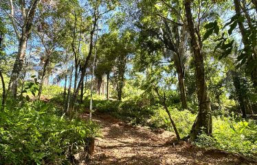 BEAUTIFUL PROPERTY MINUTES TO THE BEACH READY TO BUILD- 2.08 ACRES