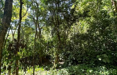 BEAUTIFUL PROPERTY MINUTES TO THE BEACH READY TO BUILD- 2.08 ACRES