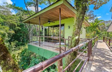 Beautiful Villas with Owners Home- 1.35 Acres