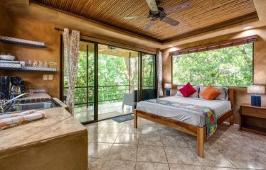 Beautiful Villas with Owners Home- 1.35 Acres