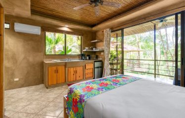 Beautiful Villas with Owners Home- 1.35 Acres