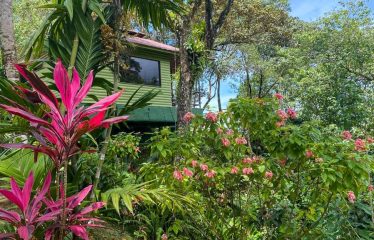 Beautiful Villas with Owners Home- 1.35 Acres