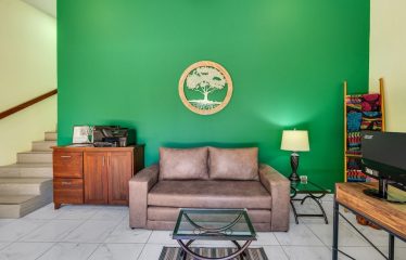 Beautiful Villas with Owners Home- 1.35 Acres