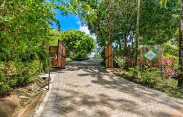 Beautiful Villas with Owners Home- 1.35 Acres