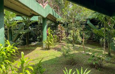 Beautiful Villas with Owners Home- 1.35 Acres