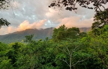 Beautiful Villas with Owners Home- 1.35 Acres