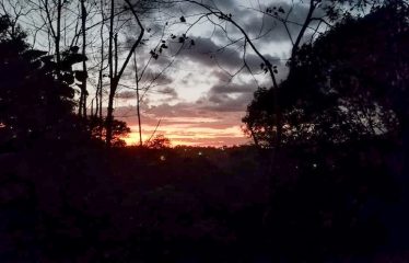 Beautiful Villas with Owners Home- 1.35 Acres