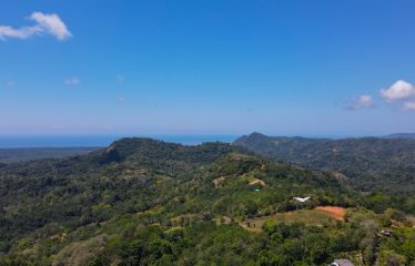 BEAUTIFUL HOUSE AND GUEST HOUSE IN TRES RIOS